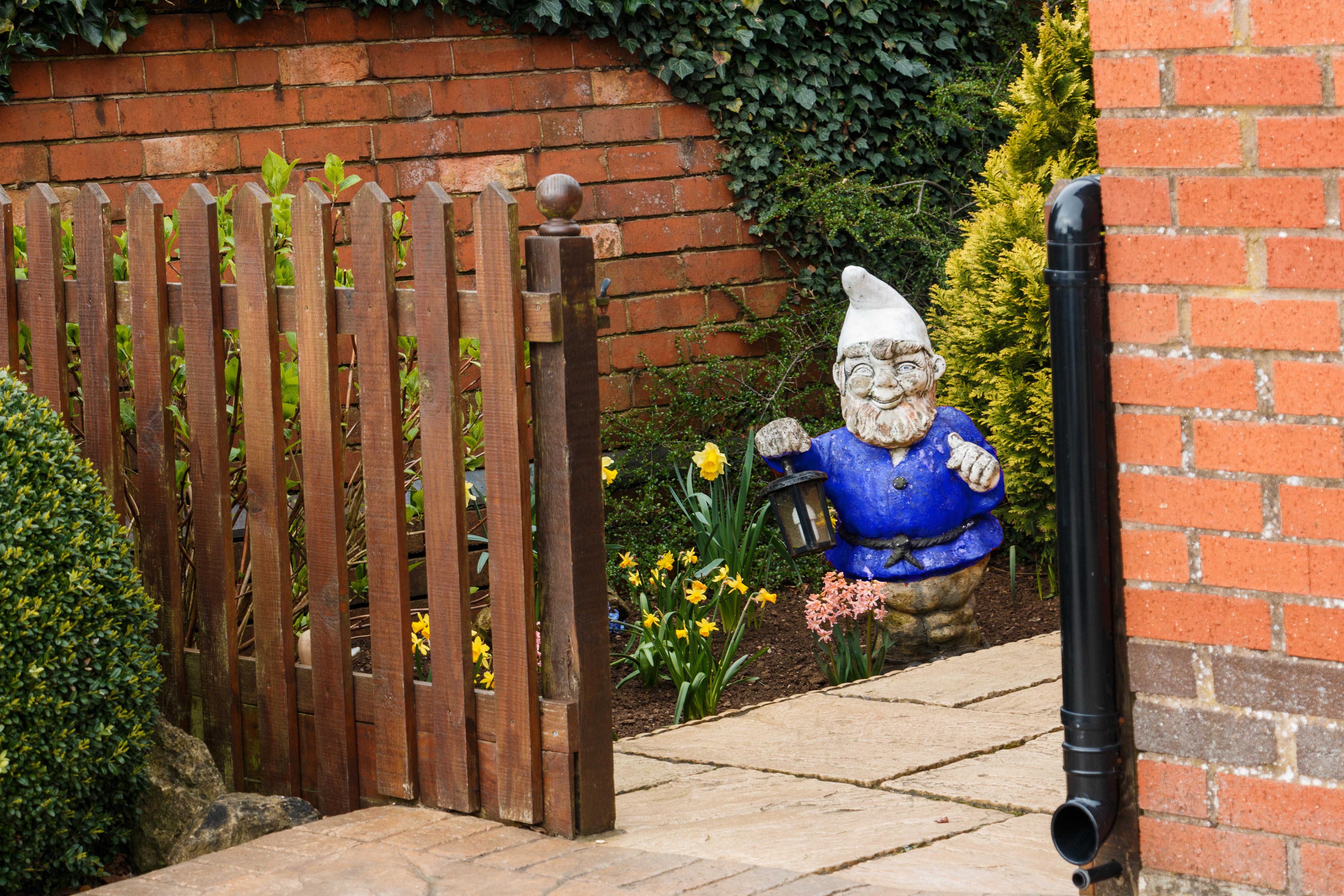 Garden gnome with a blue top and red trousers, sitting in a flower bed behind a wooden gate